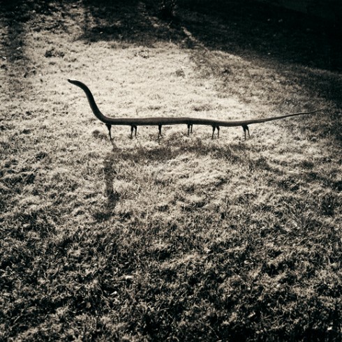 Joan Fontcuberta