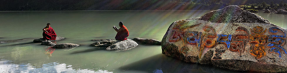 Matthieu Ricard