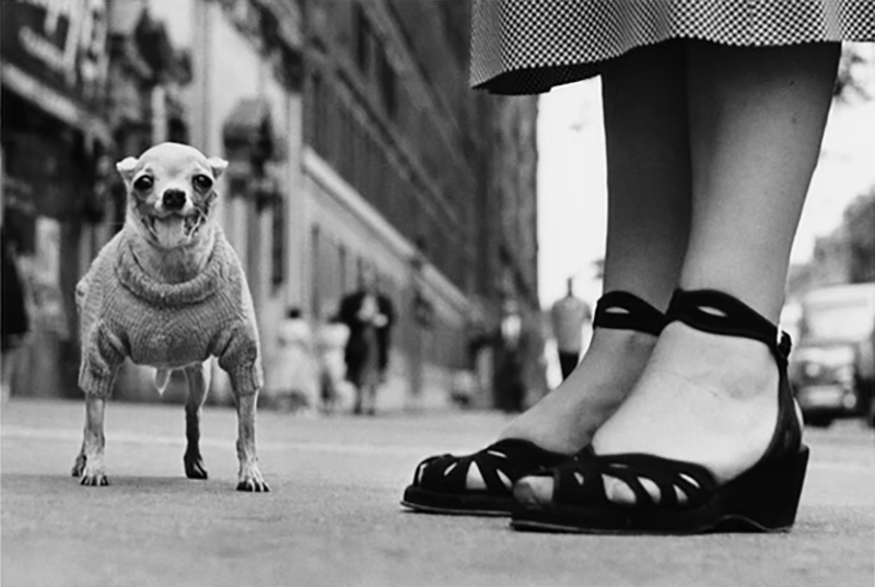 Elliot Erwitt - foto1