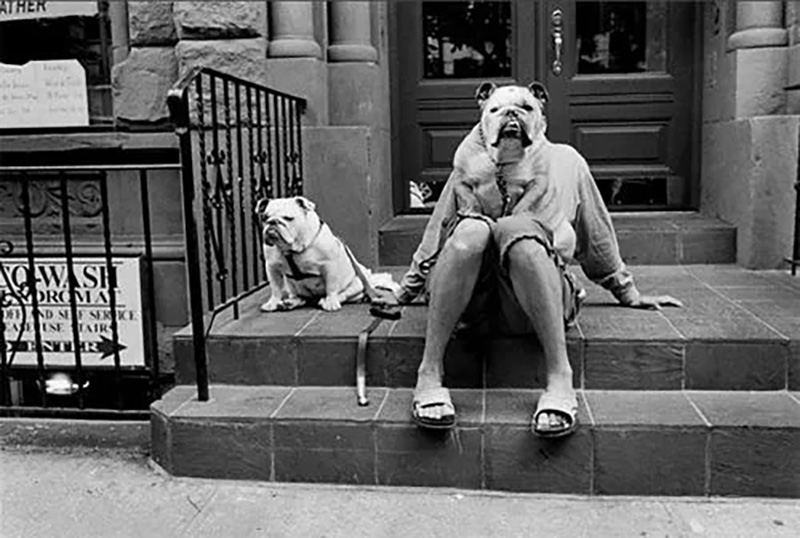 Elliot Erwitt - foto3