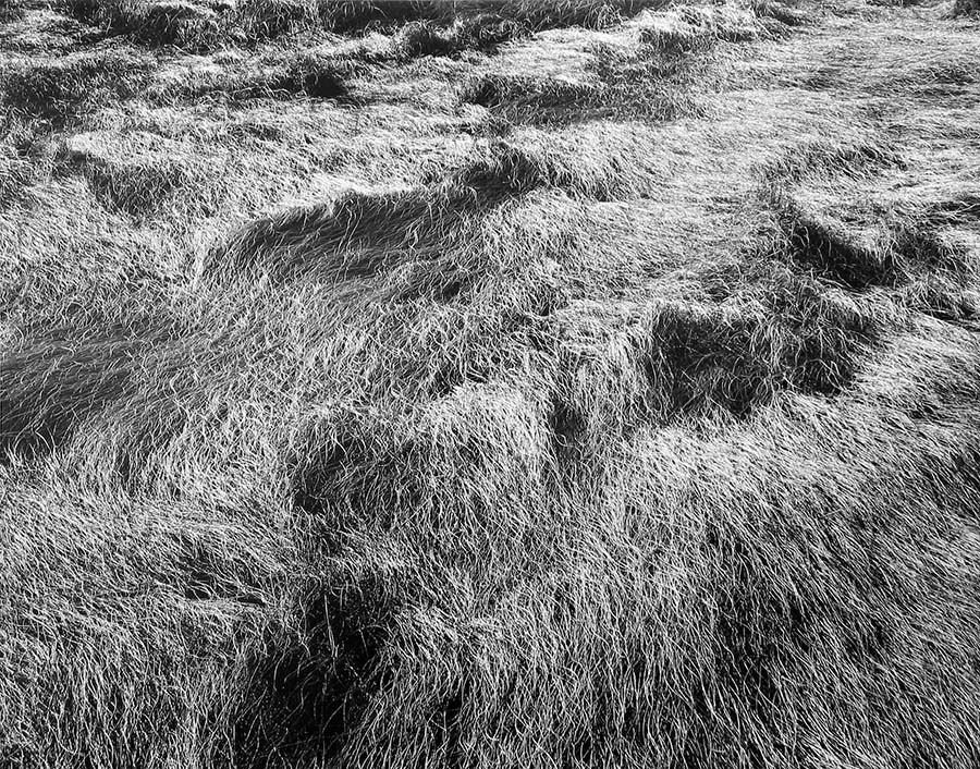 Harry Callahan - foto 4