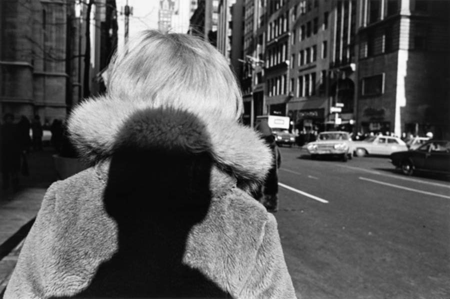 Lee Friedlander - foto 1