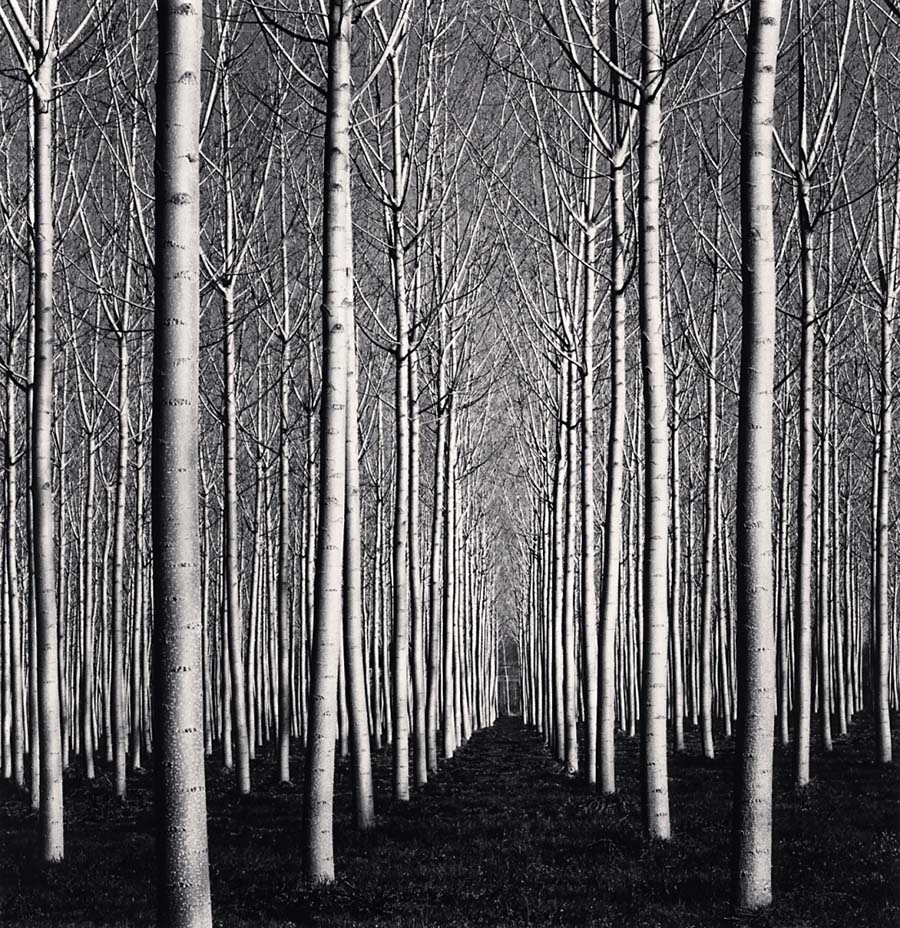 Michael Kenna - foto 5
