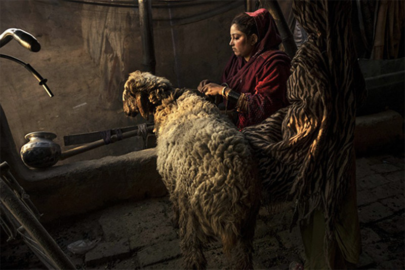 Monika Bulaj - foto4