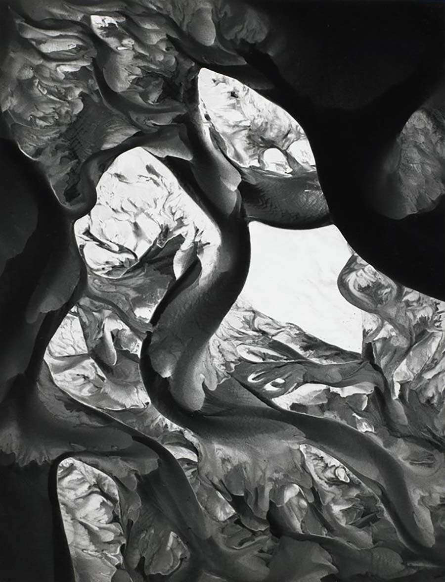 William Garnett - foto 1